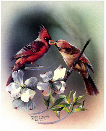 Bird Painting ~ Animal Paintings ~ Wildlife Art